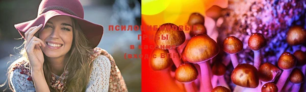мескалин Бородино