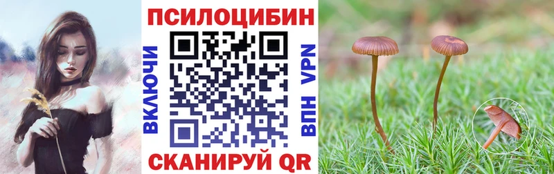 магазин  наркотиков  OMG как зайти  Галлюциногенные грибы ЛСД  Ефремов 